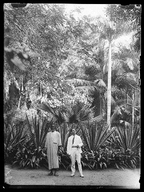 Vue du jardin de Hann (Source : CiradImages)
