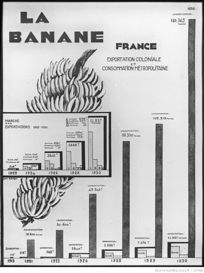 La banane en France