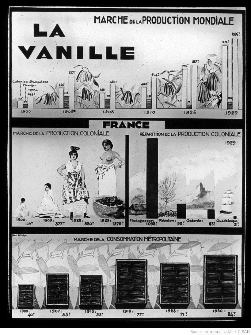 Vanille : production et consommation