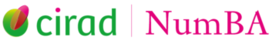NumBA